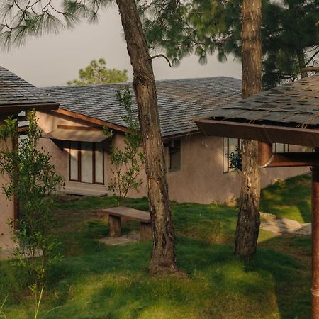 Amaya Kasauli Extérieur photo