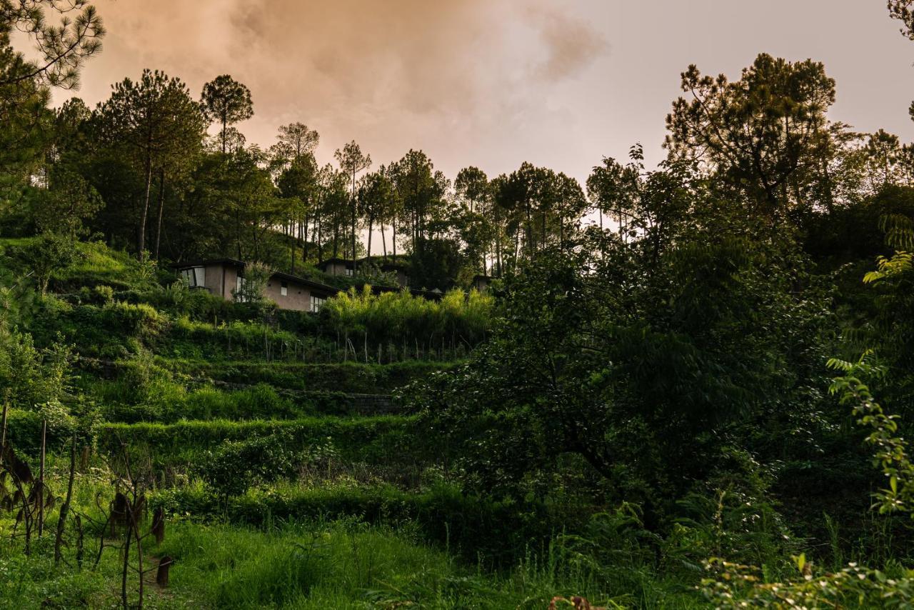 Amaya Kasauli Extérieur photo