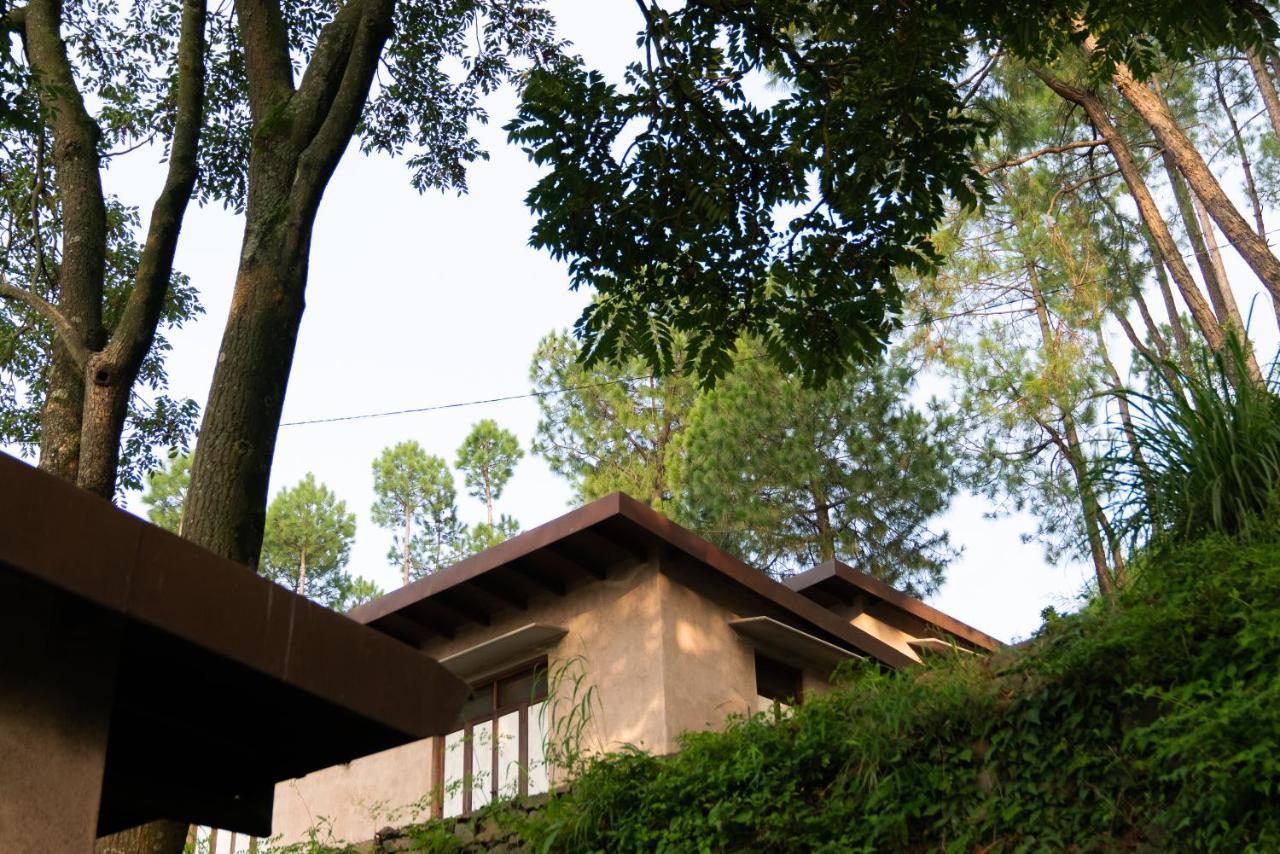 Amaya Kasauli Extérieur photo