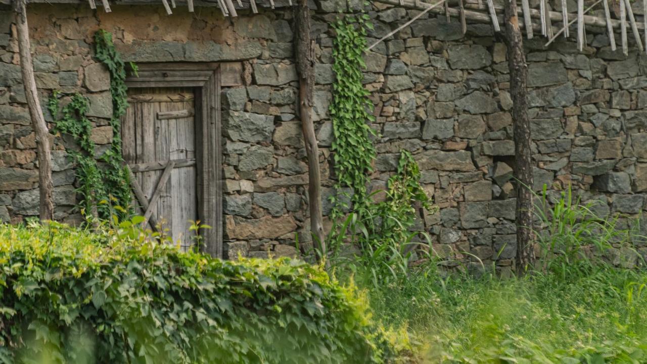Amaya Kasauli Extérieur photo