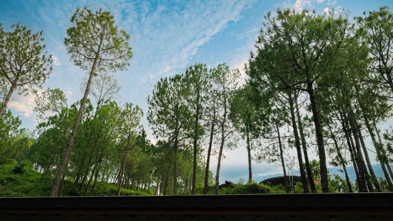 Amaya Kasauli Extérieur photo