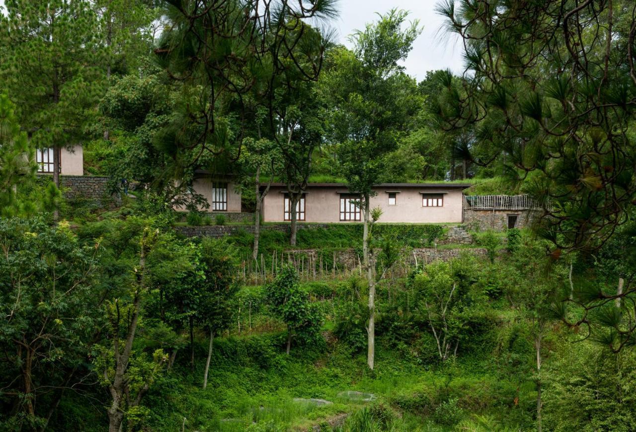 Amaya Kasauli Extérieur photo